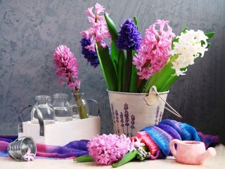 Пазл «Hyacinths»