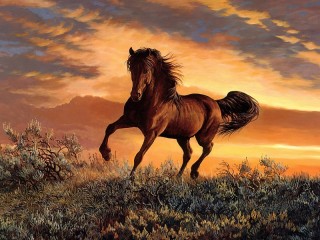 Rätsel «bay horse»