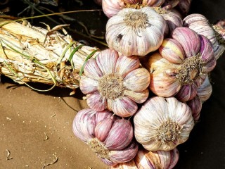 Slagalica «heads of garlic»