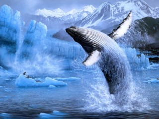 Jigsaw Puzzle «Humpback whale»