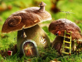 Zagadka «Mushrooms the houses»