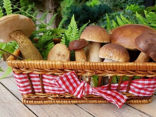 Jigsaw Puzzle «Mushrooms in the basket»