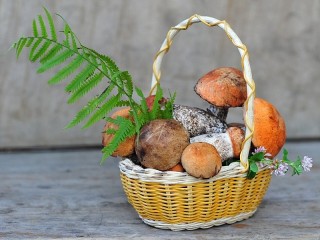 Jigsaw Puzzle «Mushroom basket»