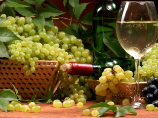 Jigsaw Puzzle «bunches of grapes»