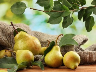 Jigsaw Puzzle «Pears»
