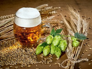 Jigsaw Puzzle «Hops and wheat»