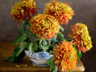 Puzzle «chrysanthemums»