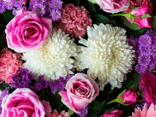 Пазл «Chrysanthemums and roses»
