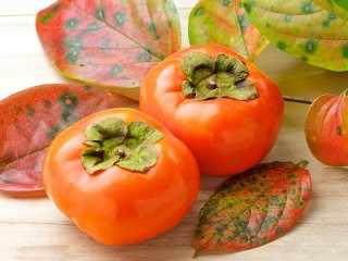 Jigsaw Puzzle «Persimmon»