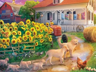 Jigsaw Puzzle «Let