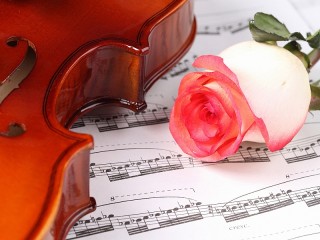 Jigsaw Puzzle «Violin and rose»