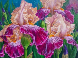 Rompicapo «Irises»