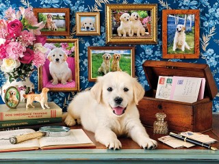 Jigsaw Puzzle «From the life of dogs»