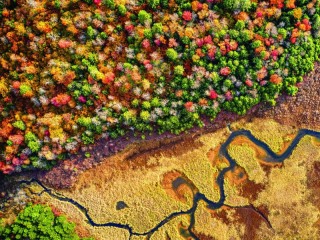 Jigsaw Puzzle «winding river»