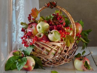 Пазл «Калина и яблоки»