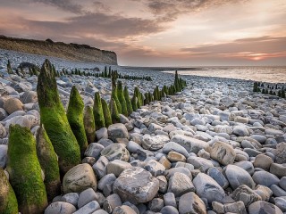Rompecabezas «Stones on the shore»