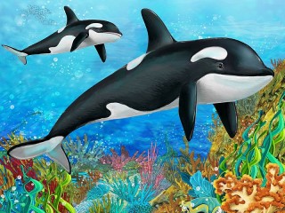 Слагалица «Killer whale»