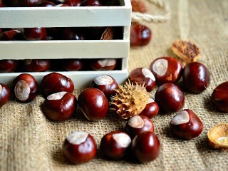 Puzzle «Chestnuts»