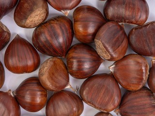 Jigsaw Puzzle «Chestnuts»
