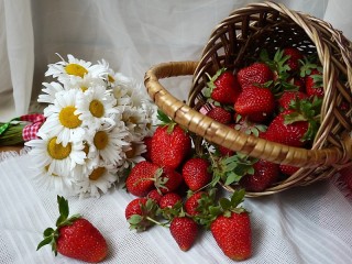 Jigsaw Puzzle «Strawberries and chamomile»
