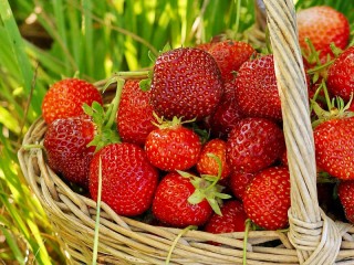 Jigsaw Puzzle «Strawberries in a basket»