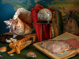 Jigsaw Puzzle «Books and shells»