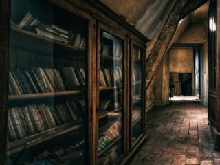 Jigsaw Puzzle «Books in the attic»