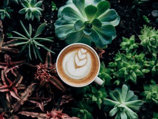 Пазл «кофе и кактусы»