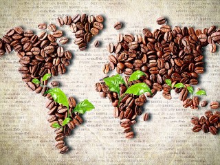 Пазл «Coffee map»