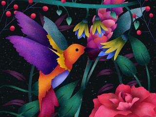 Jigsaw Puzzle «Hummingbird»