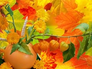 Jigsaw Puzzle «Autumn collage»