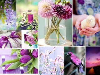 Jigsaw Puzzle «Collage with purple»