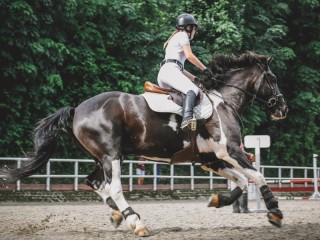 Rätsel «Horseback Riding»