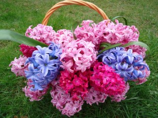 Jigsaw Puzzle «Basket of flowers 1»