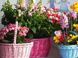 Пазл «Baskets with flowers»