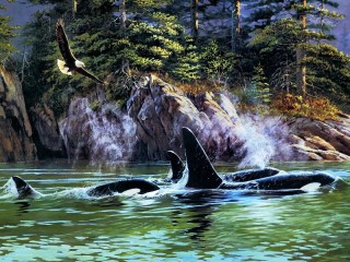 Jigsaw Puzzle «Killer whales»