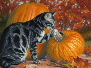 Jigsaw Puzzle «Cat and pumpkin»