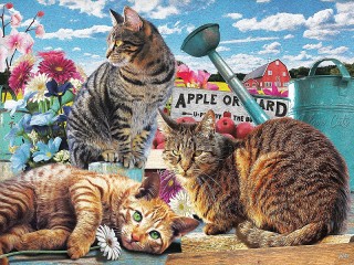 Jigsaw Puzzle «Cats»