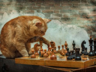 Пазл «Grandmaster in chess»