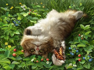 Jigsaw Puzzle «Cat and butterfly»