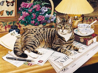 Jigsaw Puzzle «Cat and newspaper»