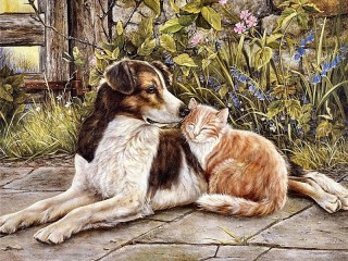 Пазл «Кот и собака»