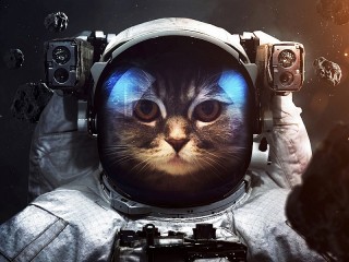 Bulmaca «Cat astronaut»