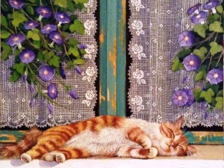 Пазл «Кот на окне»