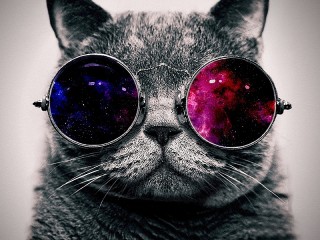 Jigsaw Puzzle «Cat in glasses»