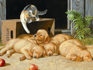 Пазл «Котенок и щенки»