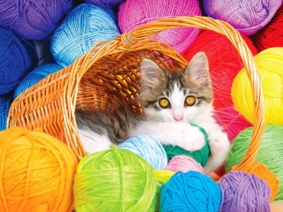 Пазл «Kitten in a basket»