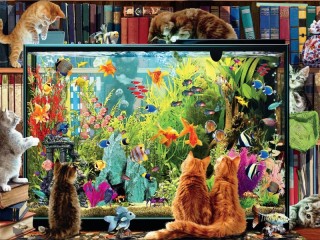Jigsaw Puzzle «Kittens and aquarium»