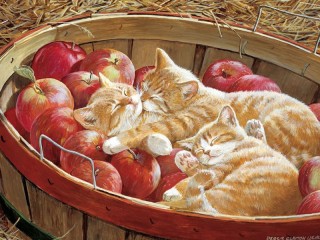 Пазл «Котята в яблоках»