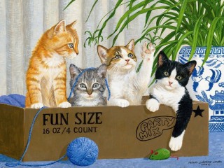 Jigsaw Puzzle «Kittens in the box»